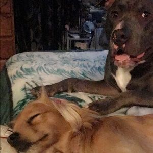 Meet your Posher, Janet